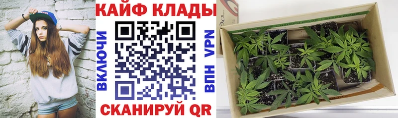 Наркошоп купить АМФ  Alpha-PVP  МЕФ  Гашиш  Суздаль