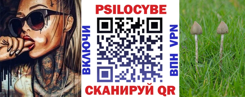 Галлюциногенные грибы Psilocybine cubensis  Купить закладки  Суздаль 