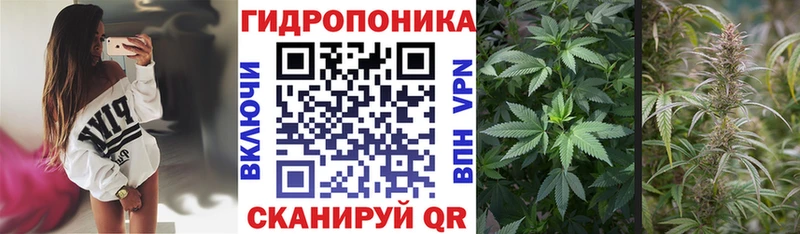 Марихуана White Widow  Купить  Суздаль 